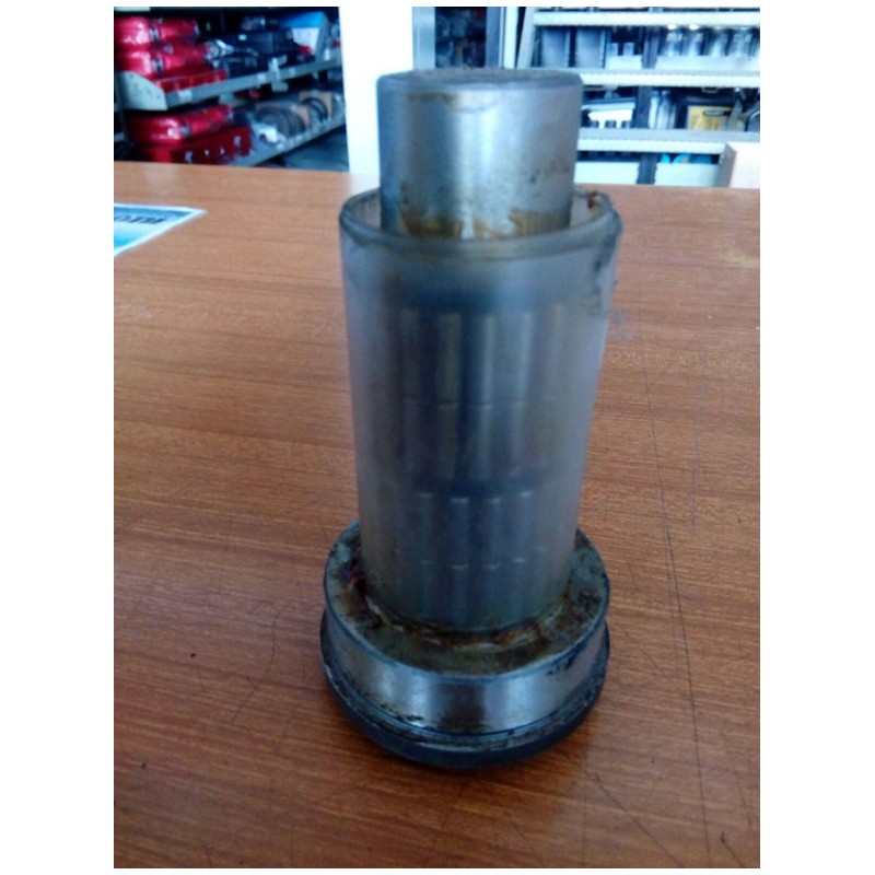 Perno portasatellite completo di rulli Cei 190114 x veicoli Iveco