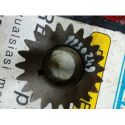 Ingranaggio 1 velocità Z 22 riferimento Iveco n 9930249, x Fiat 170.33, Fiat 190.26.30.35