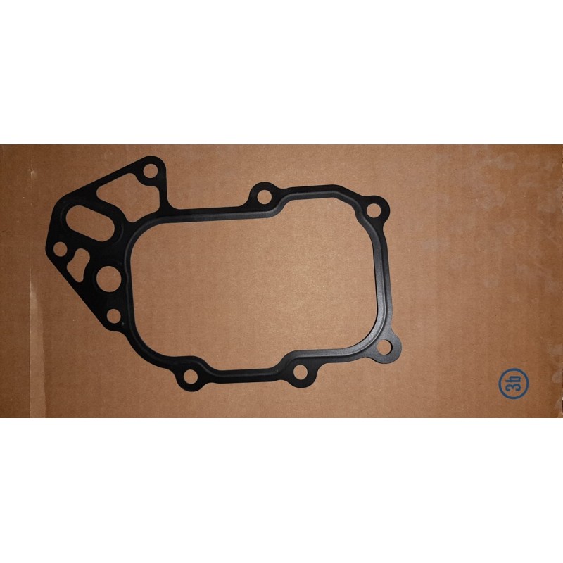 Guarnizione Lema 26285.05 x autocarri Iveco Daily