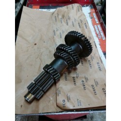 Albero secondario Z 14-21-29-35-40 marca Iveco n. 4606187