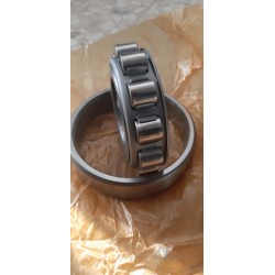Cuscinetto SKF N 313 rullo cilindrico ad una corona