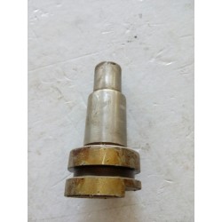 Perno ingranaggio RM Iveco n. 8558290